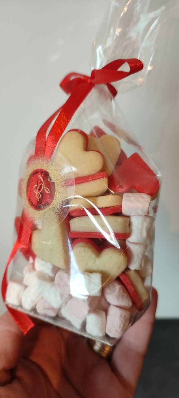 Sachet petits coeurs St Valentin